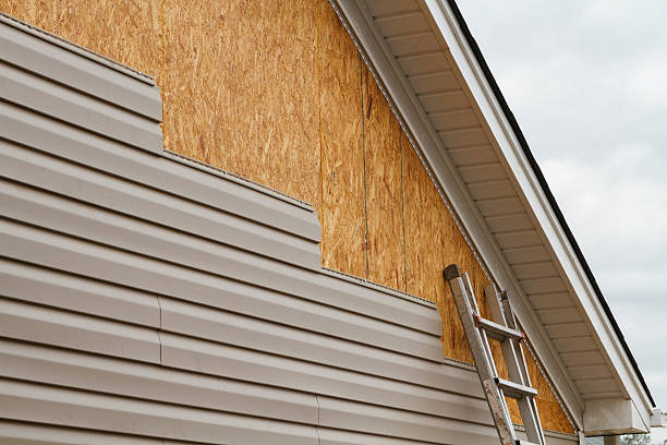 Professional Siding Repair technician working in Annandale, VA